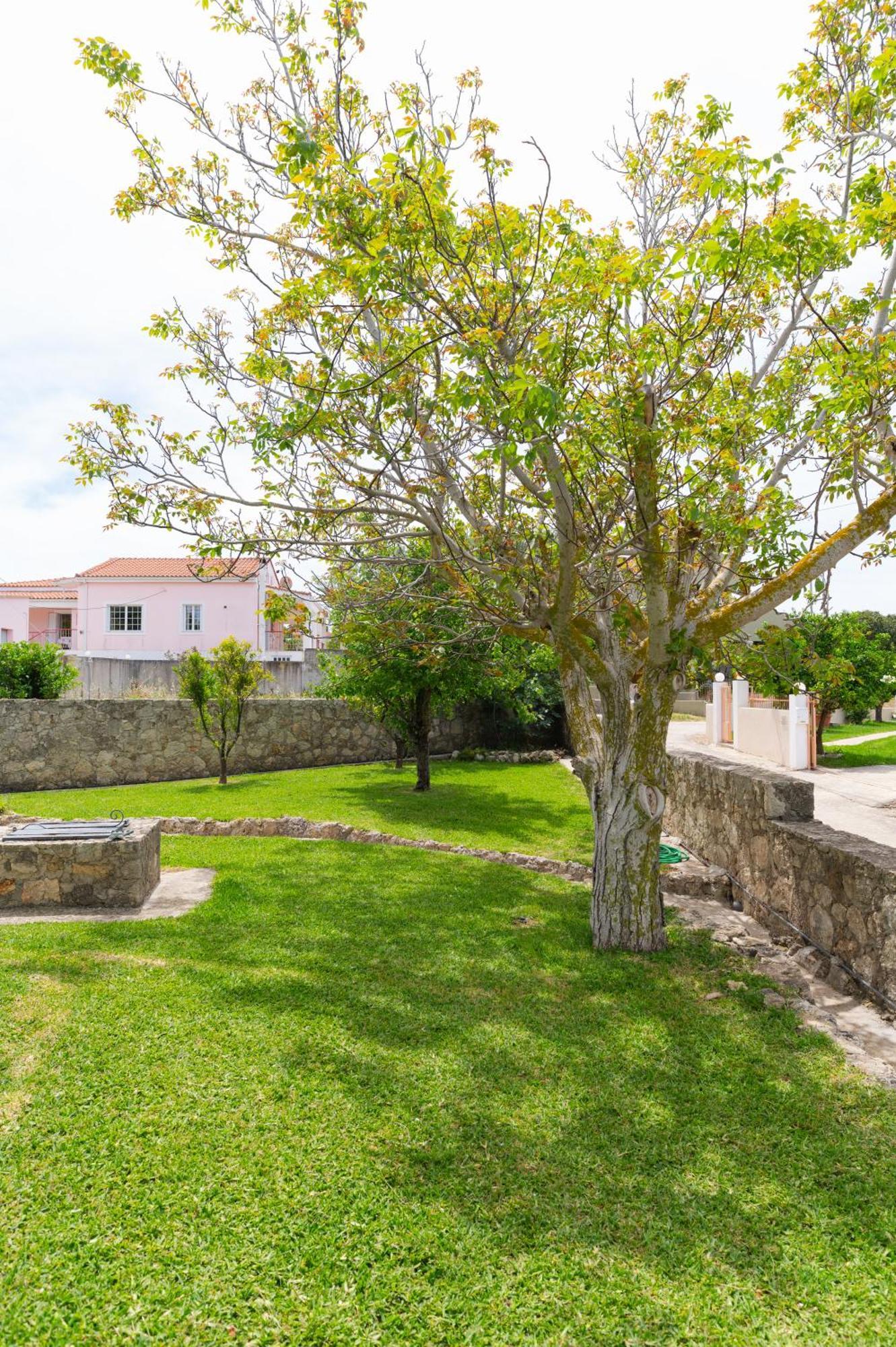 Vasilopoulos Residences - Apartments Ioni & Neso Argostoli  Exterior foto